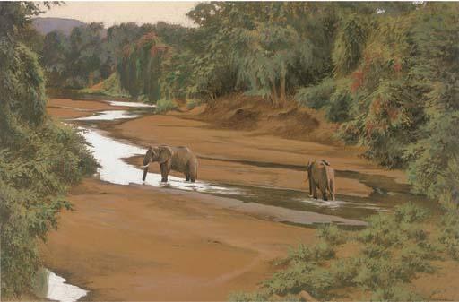 Kim Donaldson - Pfuri River Elephants