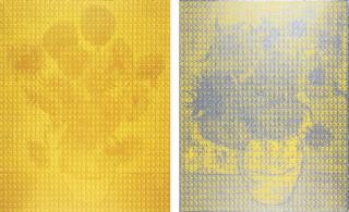 Kim Dong Yoo - Van Gogh\'s Sunflower