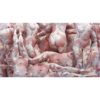 Kim Joon - Bird Land- Armani