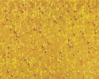 Kim Tschang-Yeul - SA0800L2