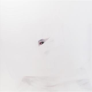 Kimiko Yoshida - La Mariée Lys, Autoportrait, 2003