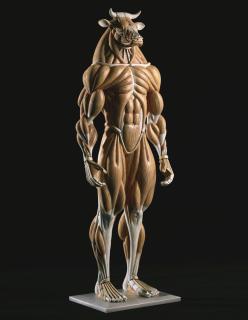 Kinoshita Masao - Minotaur