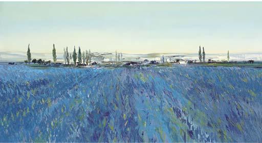 Kit Barker - Lavender Fields, Provence