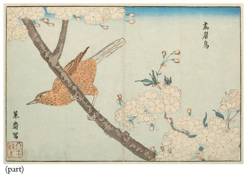 Kitao Masayoshi - Five prints from Raiken zui [Pictures of Imported Birds], the first four signed Keisai utsusu and sealed in red, good impressions and colour, slight soiling and creasing, three with vertical centrefolds