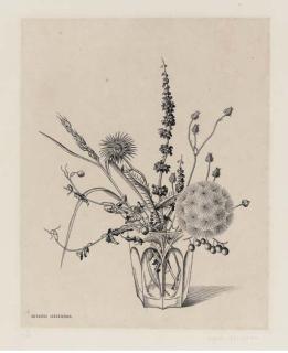 Kiyoshi Hasegawa - Fleurs des champs dans un verre (Automne)