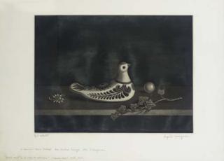 Kiyoshi Hasegawa - Nature Morte à la Colombe Mexicaine