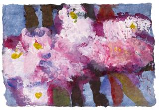 Klaus Fussmann - Chrysanthemen