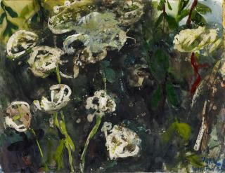 Klaus Fußmann - Kerbel