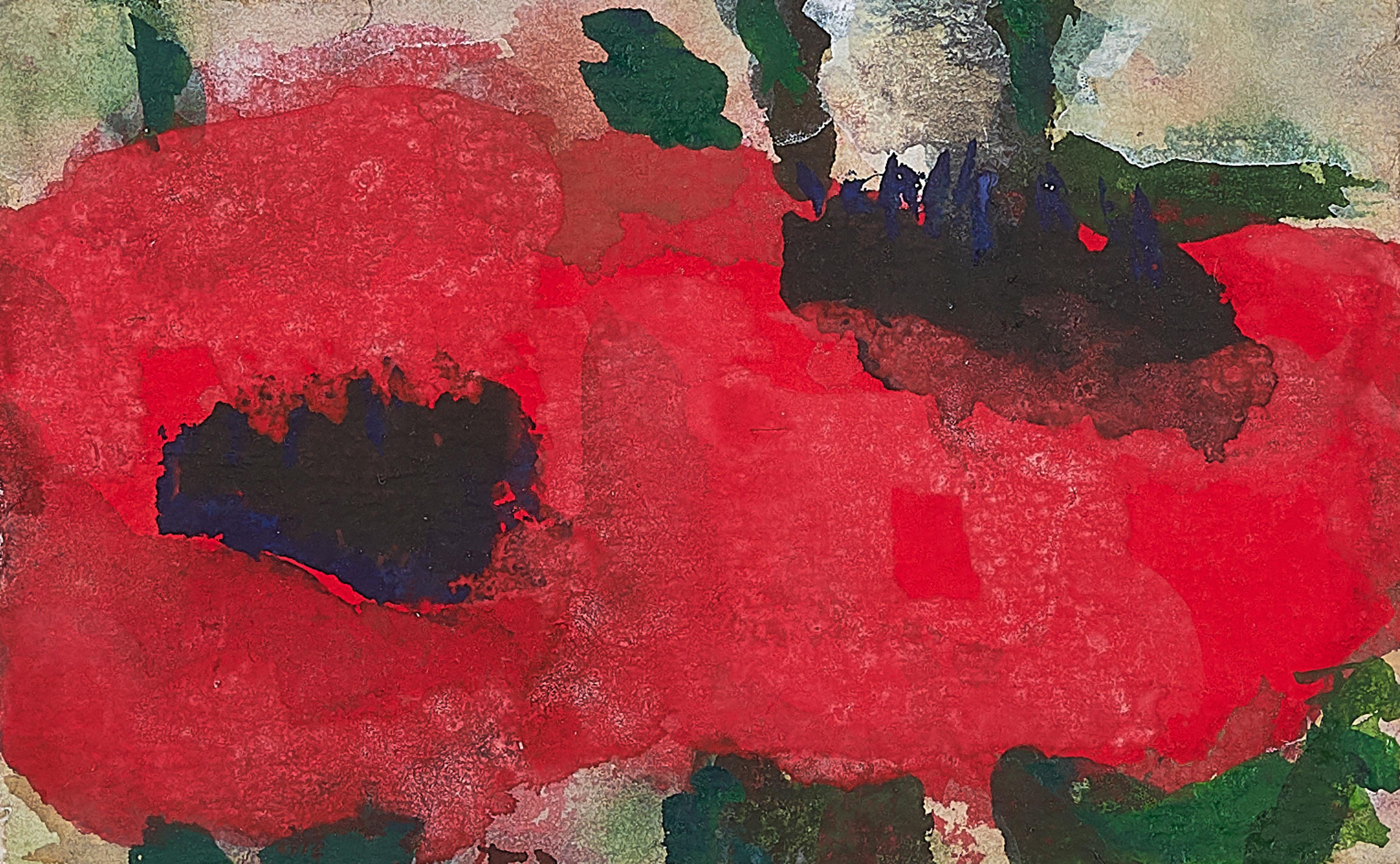 Klaus Fussmann - Mohn.