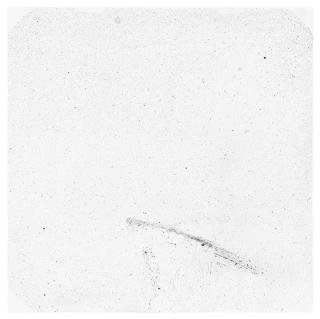 Klaus Mosettig - Pradovit N24