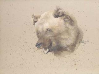 Klavdii Vasil\'Evich Lebedev - Head of a bear