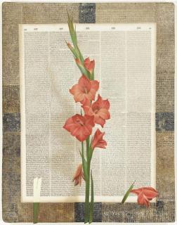 Ko Younghoon - Blooming and falling flowers