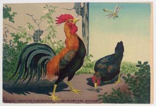 Kobayashi Kiyochika - Chickens and dragonfly, 1880.10