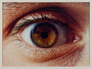 Koen Vanmechelen - Sans titre