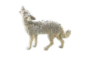 Kohei Nawa - PixCell-Coyote#3