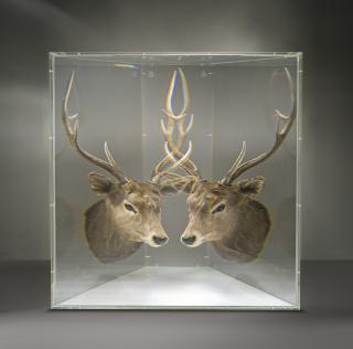 Kohei Nawa - Pixcell (Deer)