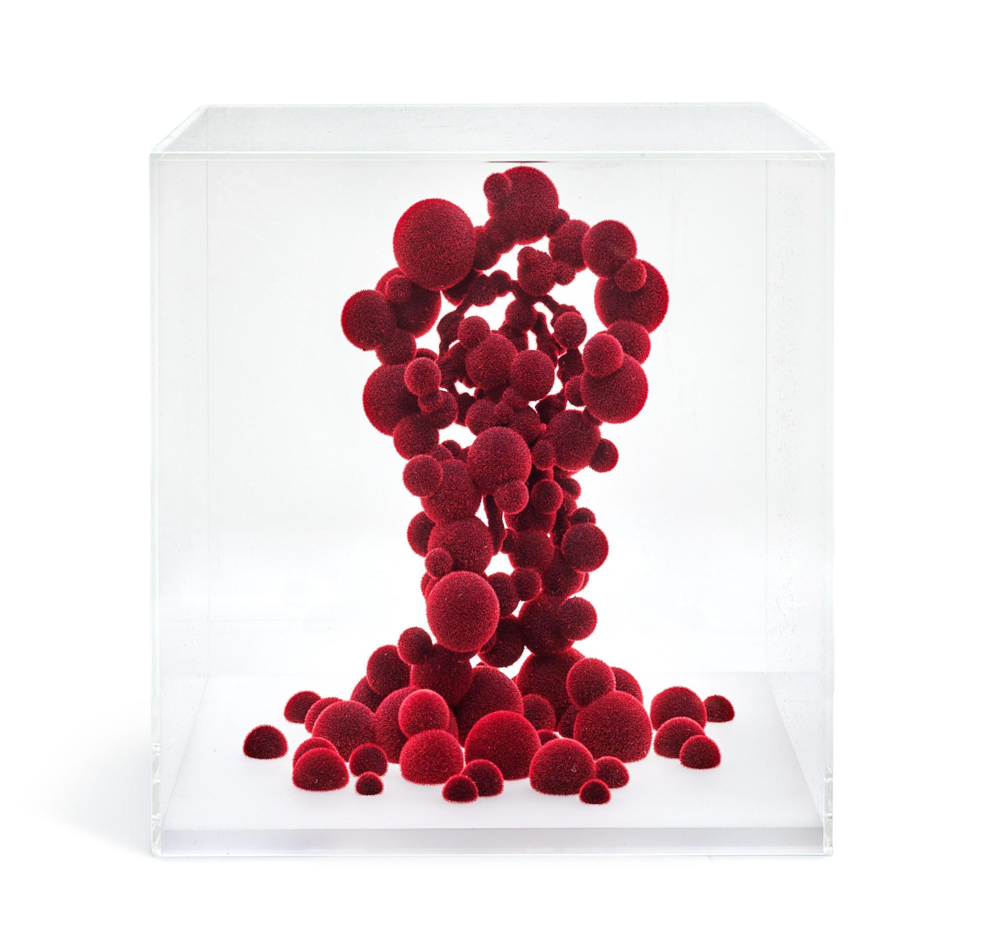 Kohei Nawa - Velvet-Rai ®