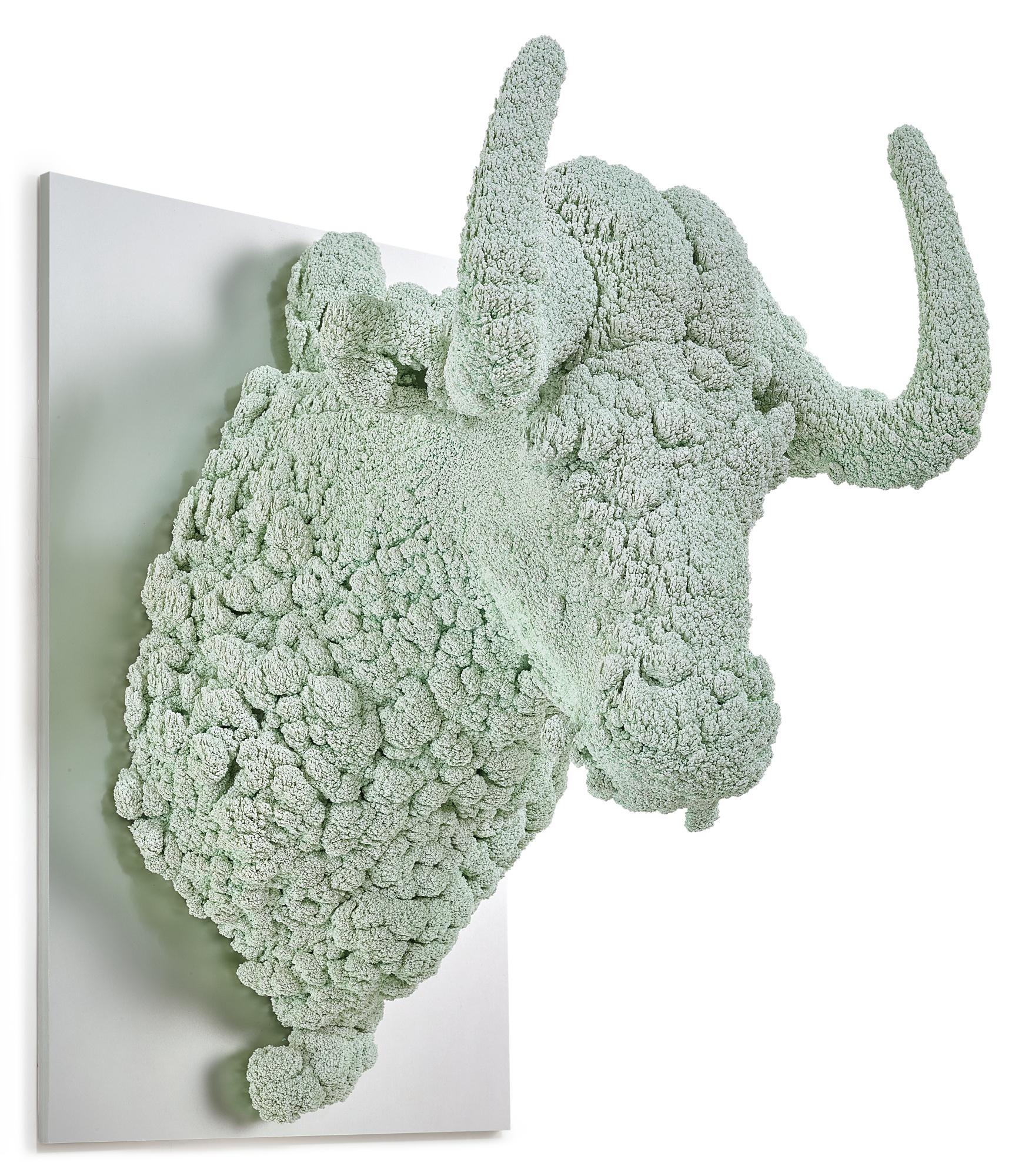 Kohei Nawa - Villus - Buffalo