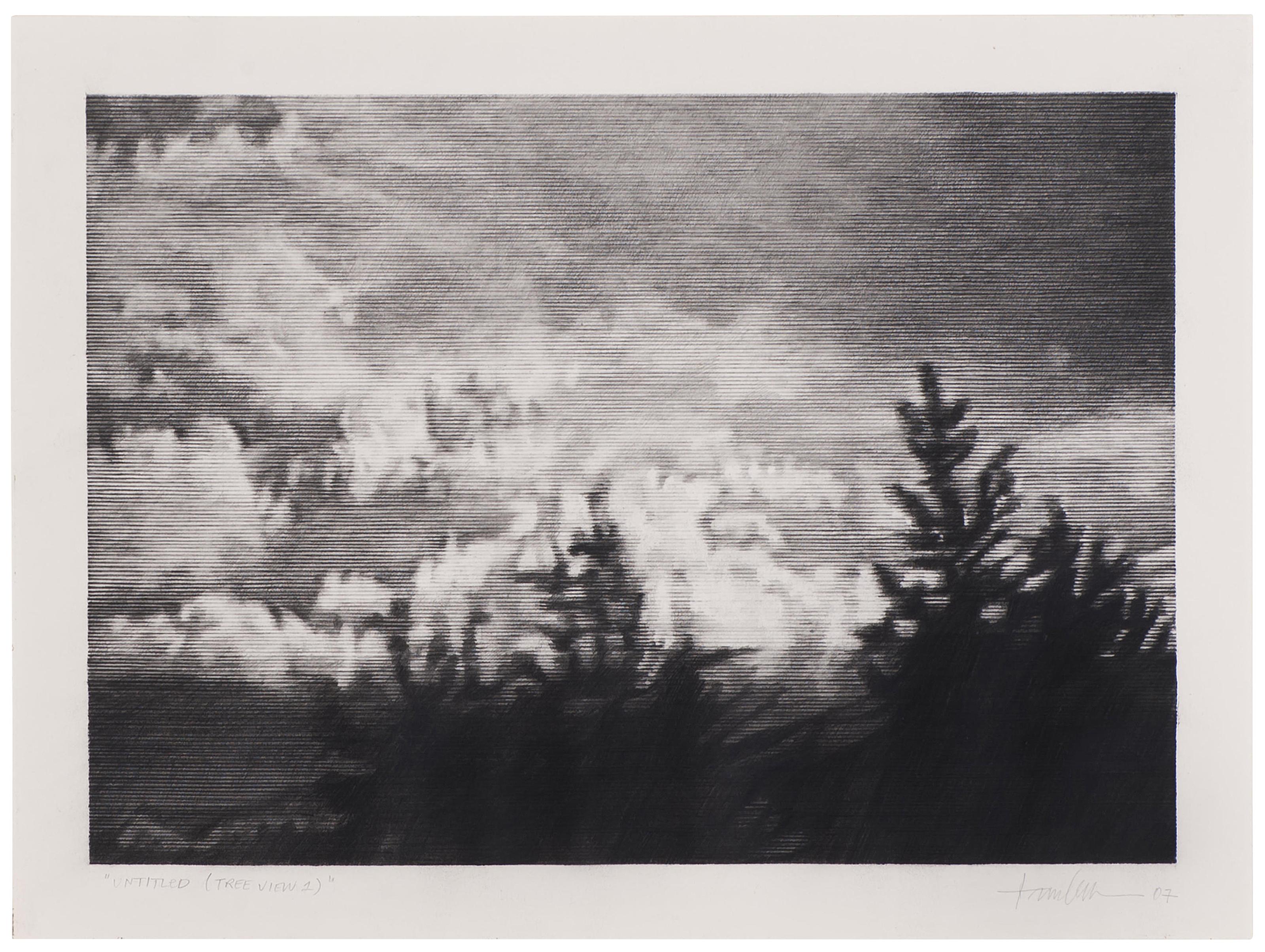 Kon Trubkovich - Untitled (Tree View 1)