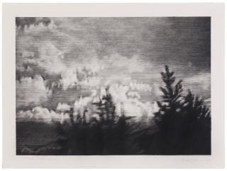 Kon Trubkovich - Untitled (Tree View 1)