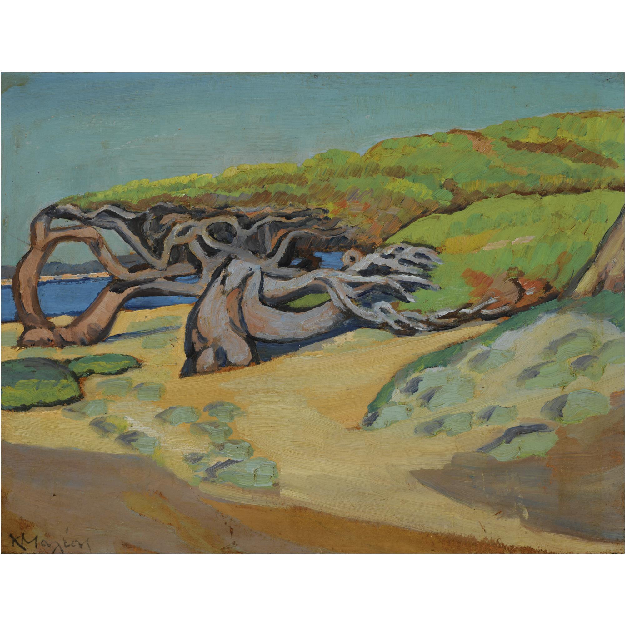 Konstantinos Maleas - Greek Pine Trees In Raffina