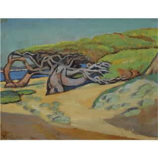 Konstantinos Maleas - Greek Pine Trees In Raffina