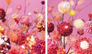 Koo Seong Youn - P02; & P03