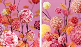 Koo Seong Youn - P05; & P01