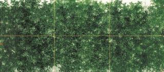 Koon Wai Bong - Glistering as Stars