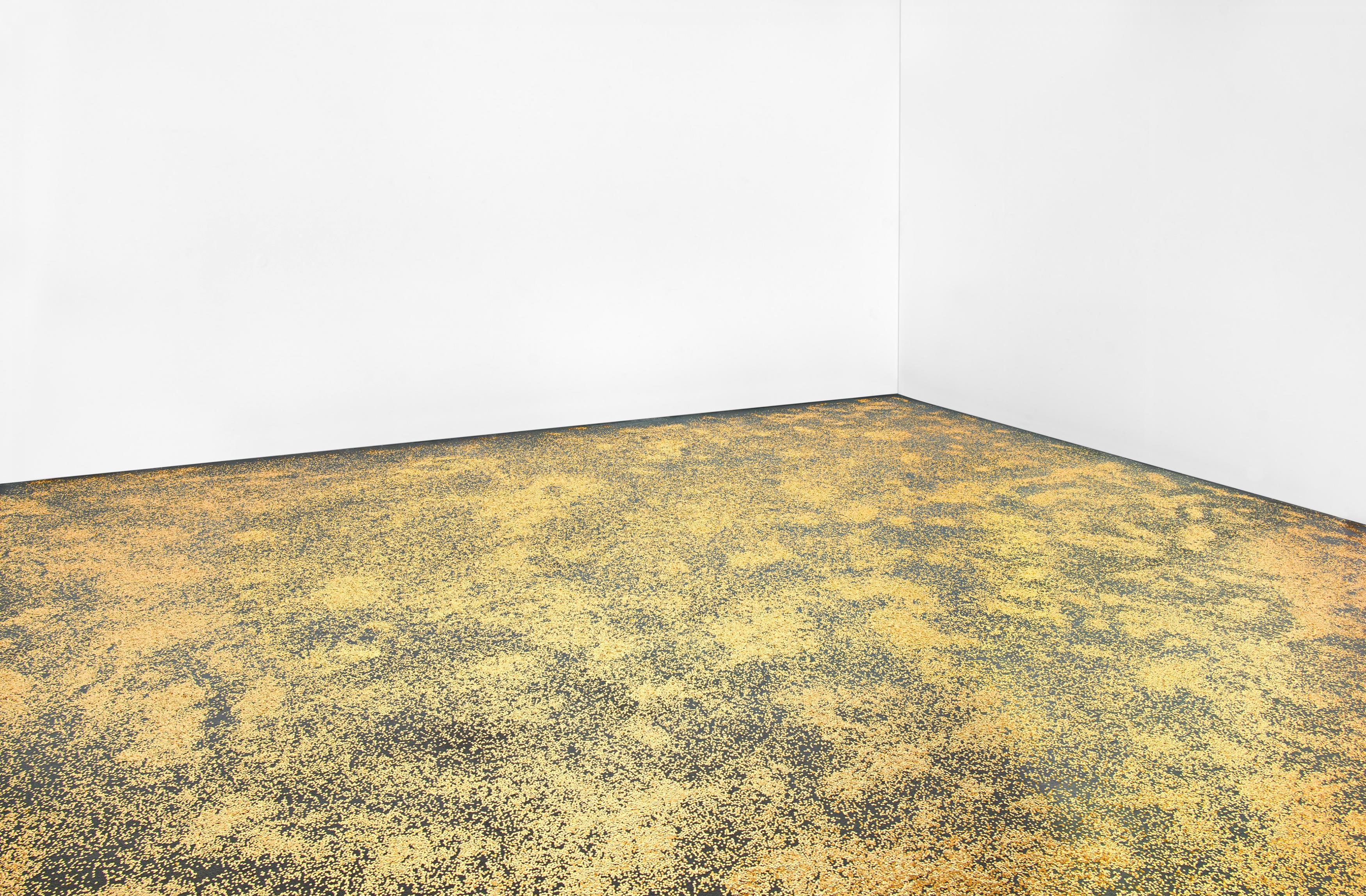 Kris Martin - Festum II