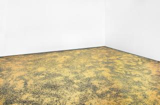 Kris Martin - Festum II