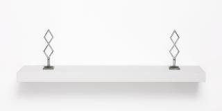 Kris Martin - Self-Portrait (Metal Displays)