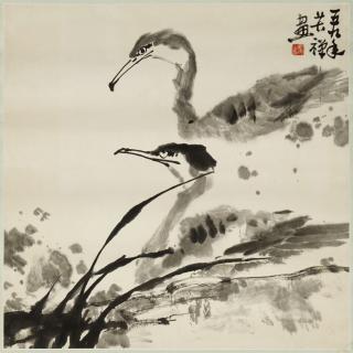 Kuchan Li - Paar Kormorane