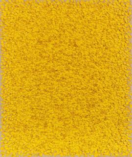 Kuno Gonschior - Gelb