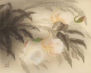 Kuo Hsueh-Hu - Epiphyllum