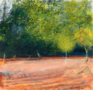 Kurt Jackson R.W.A. - End of a French Afternoon, Walnut Orchard