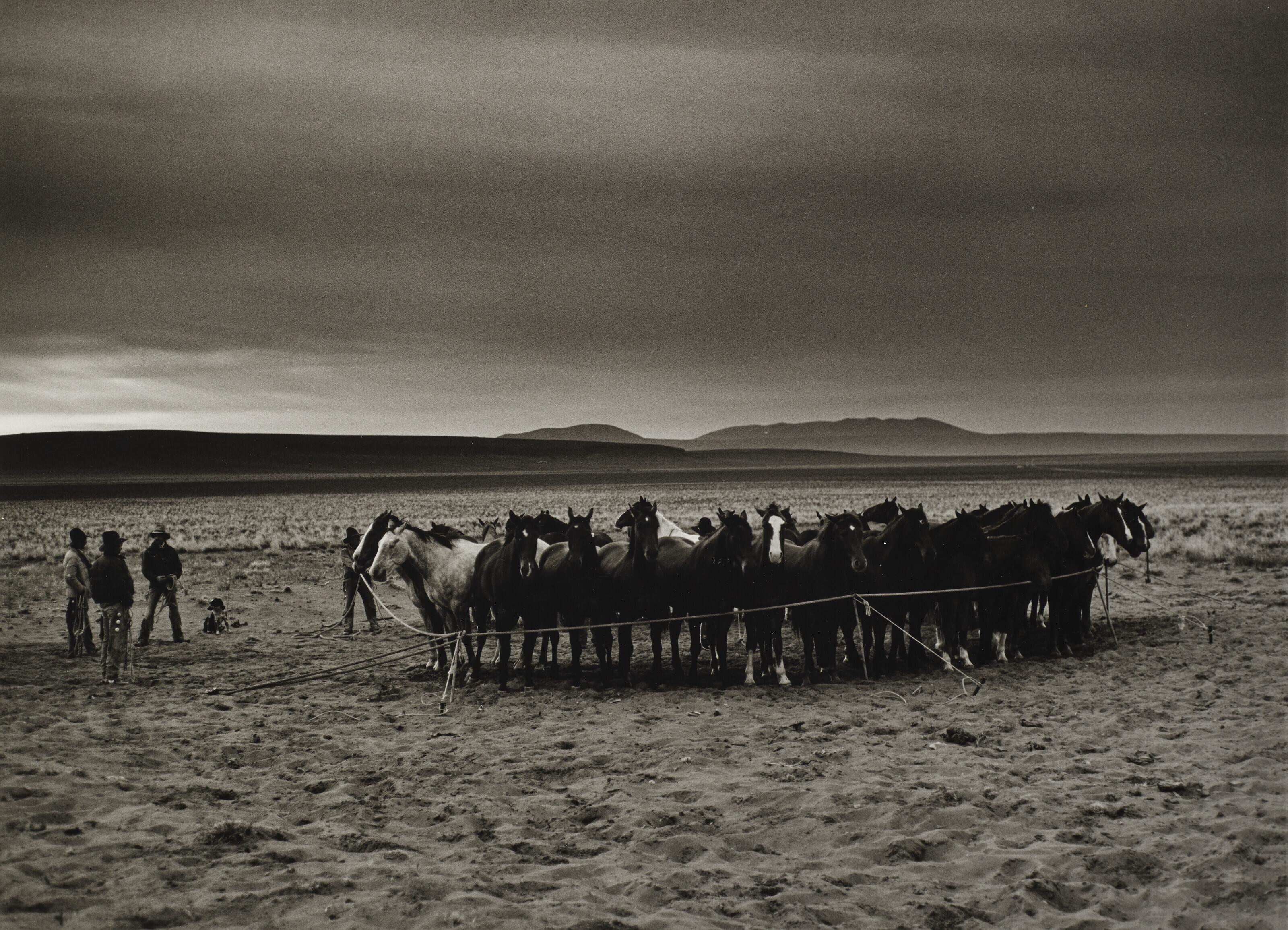 Kurt Markus - Ranch, Paisley, Oregon, 1982