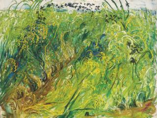 Kusuma Affandi - Rice fields