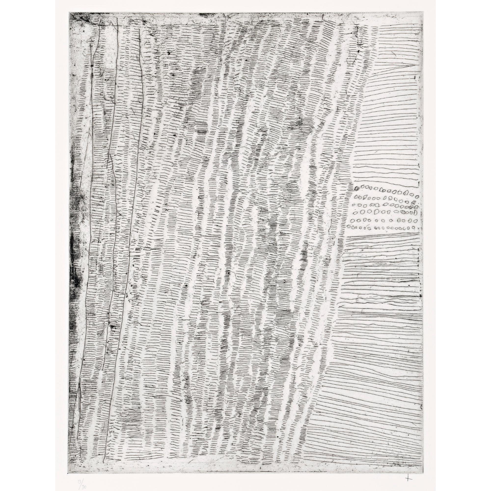 Kutuwalumi Purawarrumpatu - Untitled