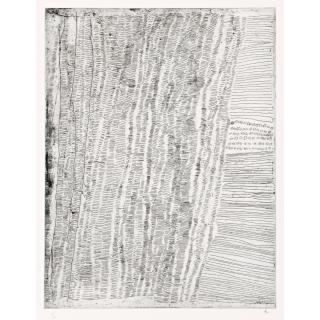 Kutuwalumi Purawarrumpatu - Untitled