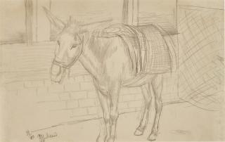 Kuzma Sergeevich Petrov-Vodkin - Donkey