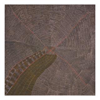 Kweyetwemp Petyarre - Atnangkere Soakage (Mountain Devil Lizard)