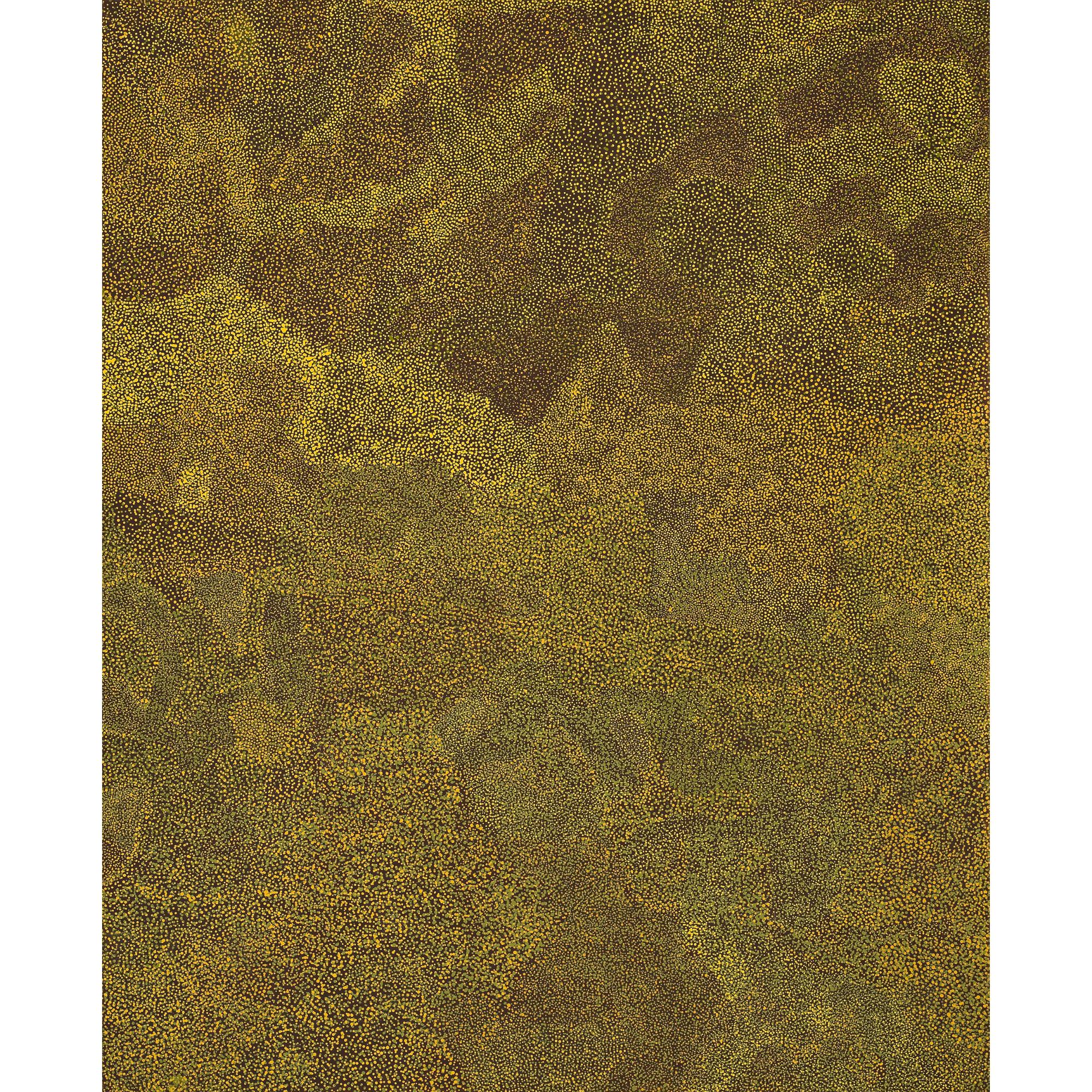 Kweyetwemp Petyarre - Untitled