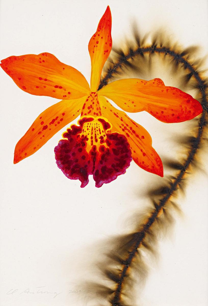 L.C. Armstrong - Red Gold Laeliocattleya