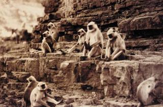 Lala Deen Dayal - Views of Central India