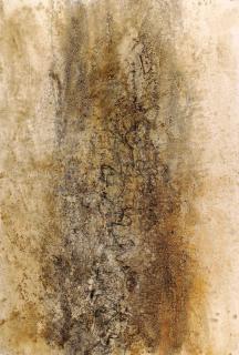 Lalan - Sans Titre (Untitled)