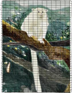 Lam Tung Pang - Monkey In Cage