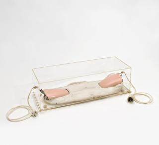 Lambert Maria Wintersberger - Doppelfinger-Zwischenstecker