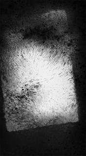 Lampo Leong - Inkscape I