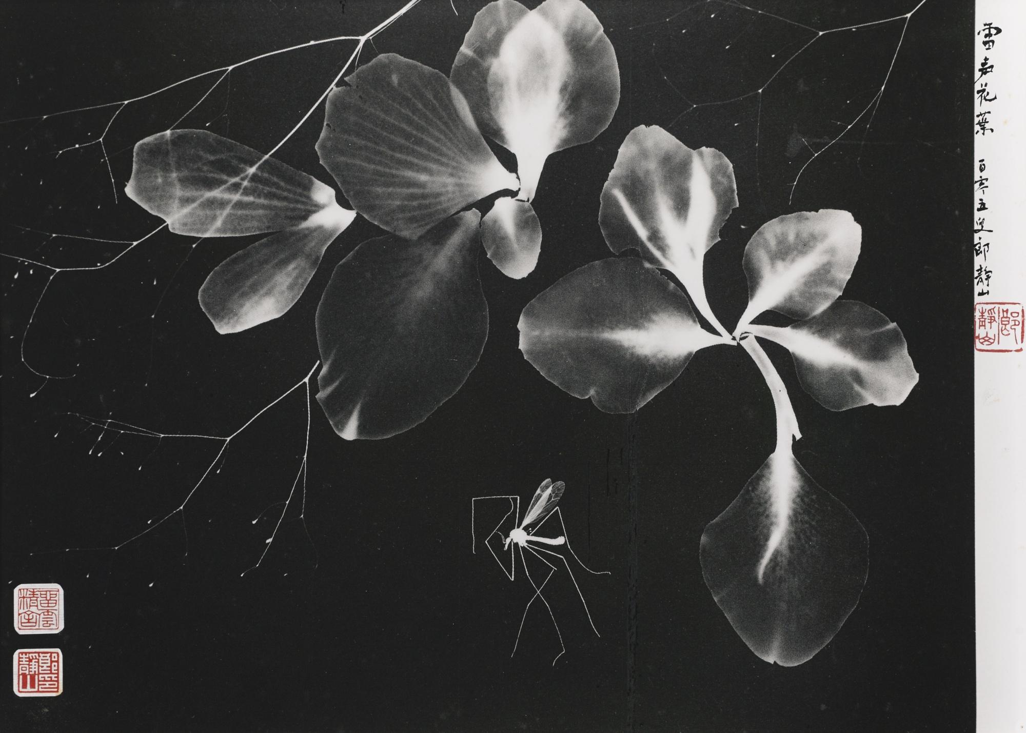 Lang Jingshan - Flowers